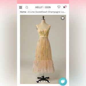 Size 2 champagne embroidered midi tulle fit-and-flare dress